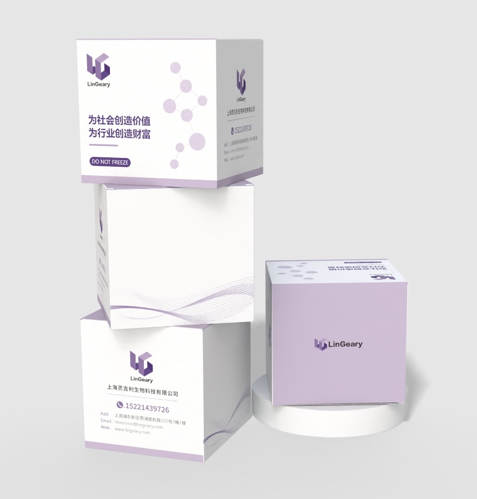 Universal Blue qPCR SYBR Green Master Mix